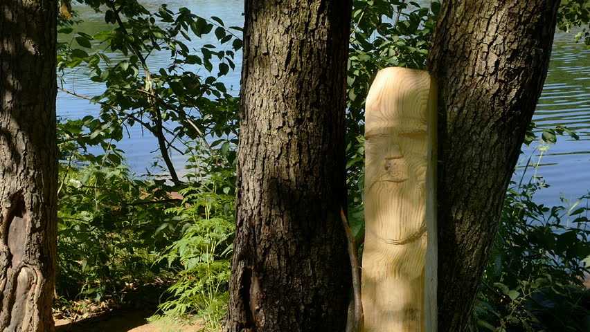 wooden idol, forest summer landscape by the river