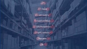 Animation of dna strand over warehouse. Global business, finances and digital interface concept digitally generated video.