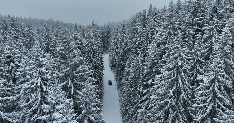 Aerial drone view of the road in idyllic winter landscape nature in a dense forest with fresh snow.  | Shutterstock HD Video #1100166119