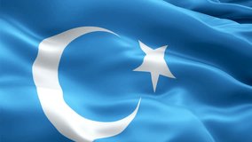 East Turkestan flag. National 3d East Turkestan flag waving seamless loop animation. East Turkestan flag HD Background Slow Motion video. East Turkestan flag Closeup 1080p HD video for presentation,