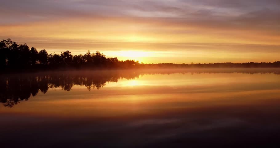 Fog on lake, Aerial drone footage flying over mist filled the pond bog lake. Sun beams coming through, Golden sunlight rising moving orange mist on water surface. Green forest and fog. Summer morning.