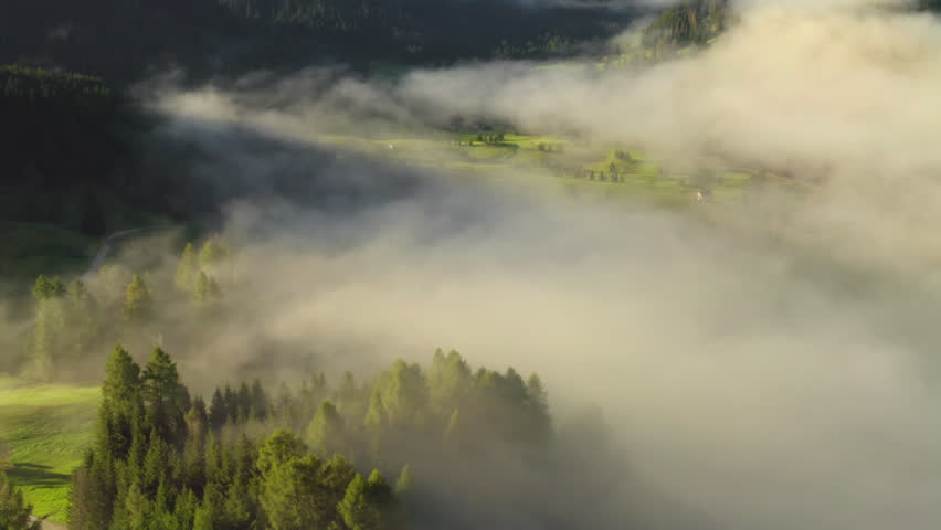 Dense foggy clouds hover over forest with green trees and grass. Scenic landscape in highland of Alps at morning sunrise aerial view