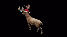 Santa's Reindeer Walk View From Top Angle Back.,Animation.Full HD 1920×1080. Transparent Alpha Video. LOOP.