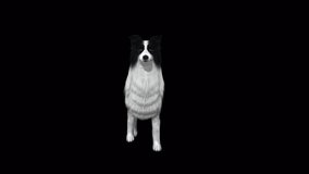 
Sheep Dog Fast Walk View From Front,Animation.Full HD 1920×1080. Transparent Alpha Video. LOOP.