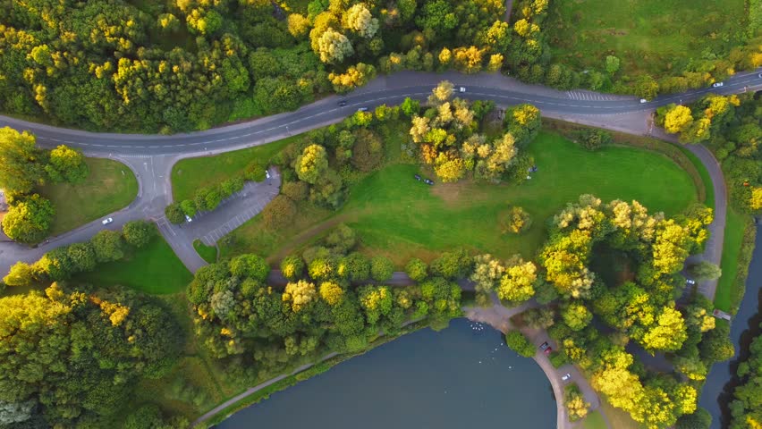lake and forest view. Trees and blue lake in perfect landscape with drone