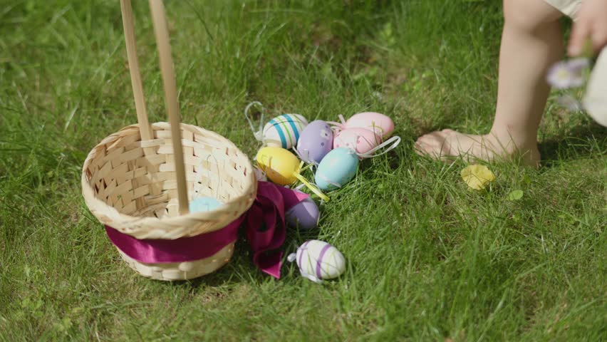 Easter Egg Hunt tradition: kid boy picking up colorful eggs from green grass put them into basket. Child boy gently holding first spring flowers in hand put colorful Easter eggs into basket. sunny day Royalty-Free Stock Footage #1100200633