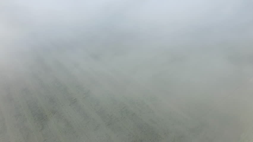 The fog over the fields of the French countryside in Europe, in France, in the Center region, in the Loiret, towards Orleans, in Winter, on a sunny day.