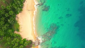 Breathtaking scenery over secret paradise beach, Sea waves hitting the beach, Pine trees and coconut trees along the beach. Refreshing summer. Phuket, Thailand. nature background. 4K UHD Drone
