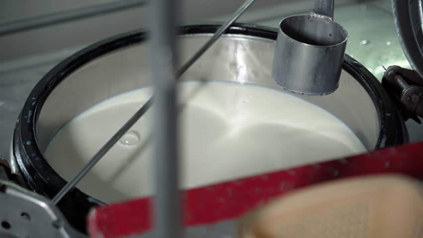 Dairy Manufacturing Facility. A Laborer is Using a Ladle to Scoop up the Milk Inside of the Container and to Pour it into the Cup. Emptying the Cup. Milk Sampling Process. Repeating the Process. Royalty-Free Stock Footage #1100213065