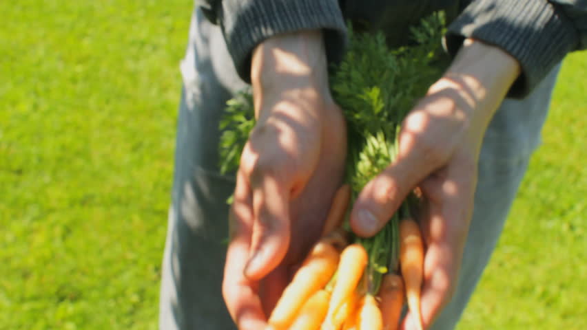 Bright and colourful high quality video of farmer extending hand with fresh carrots | Shutterstock HD Video #1100217239