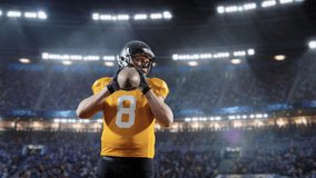 Aesthetic Shot of American Football Player Throwing a Ball on Big Stadium With Crowd Cheering. International Championship Match on Arena Full Of Fans. Super Slow Motion Captures Successful Pass. - Powered by Shutterstock - Get 15% off with code: PIKWIZARD15
