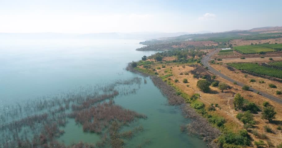 Aerial view of a lake with in water vegetation, Sea of Galilee, Israel.