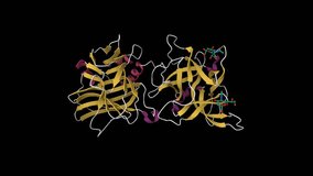 Structure of botulinum neurotoxin type C. Animated 3D cartoon model, secondary structure color scheme, PDB 3r4s, black background