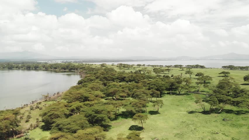 Safari - Crescent Island Game Sanctuary, Kenya - Drone video - DJI D-Cinelike color profile