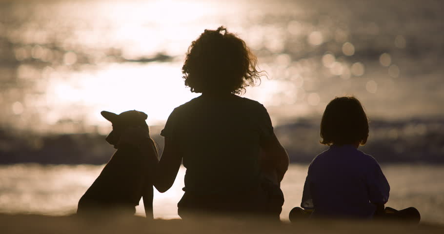 Backs of woman, boy and dog, who sit together on seashore and watch sunset and surf. Silhouettes of mother, son and their dog sit on the sand and watch the sun on the sea. Contemplation of the sunset
