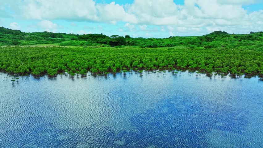 Green forest and river aerial view and environmental technology concept. Green tech. ESG. SDGs. Royalty-Free Stock Footage #1100254369