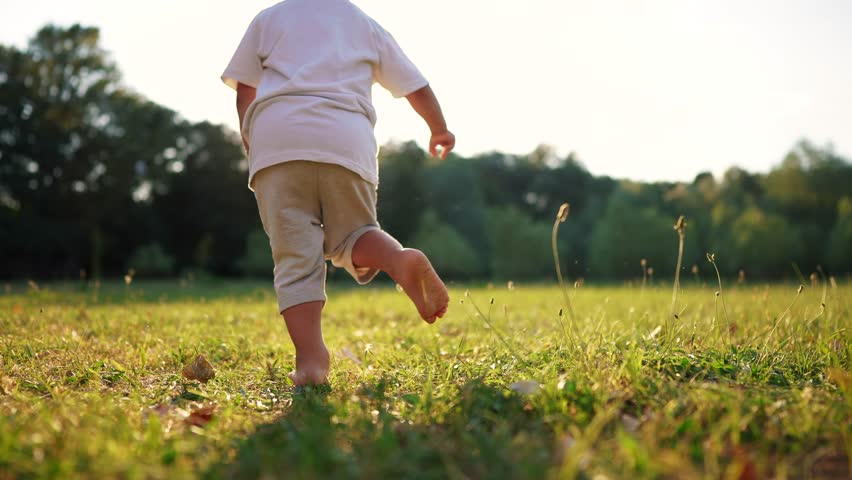 Baby and dog. baby boy is playing in the forest park. close-up child legs run on the park green grass in the park. family childhood dream concept. a child in sneakers run on the grass in a park fun | Shutterstock HD Video #1100264959