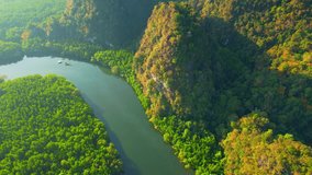 Aerial view over green mangrove forest in tropical rainforest, limestone mountain and beautiful curvy river. Krabi, Thailand. natural and tropical concept. green background video. 4K Drone footage
