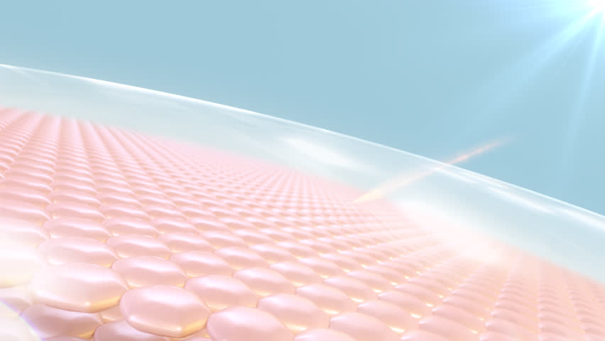3D animation of skin cells. Skin cell with UV protection. Advertisements for cosmetics, sunscreen, Cream, and serum. Ultraviolet shield reflect.