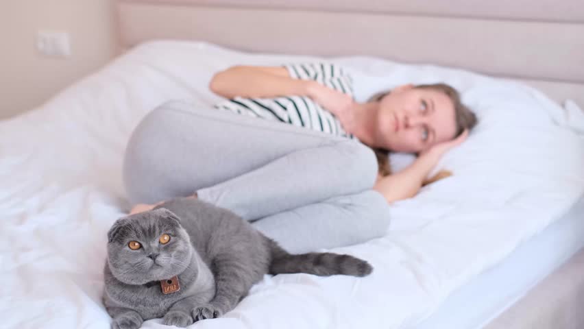 Depressed young woman lying in bed with a beautiful cat sitting next to her, unhappy woman suffering from insomnia or depression, psychological problem, blurred background | Shutterstock HD Video #1100302075