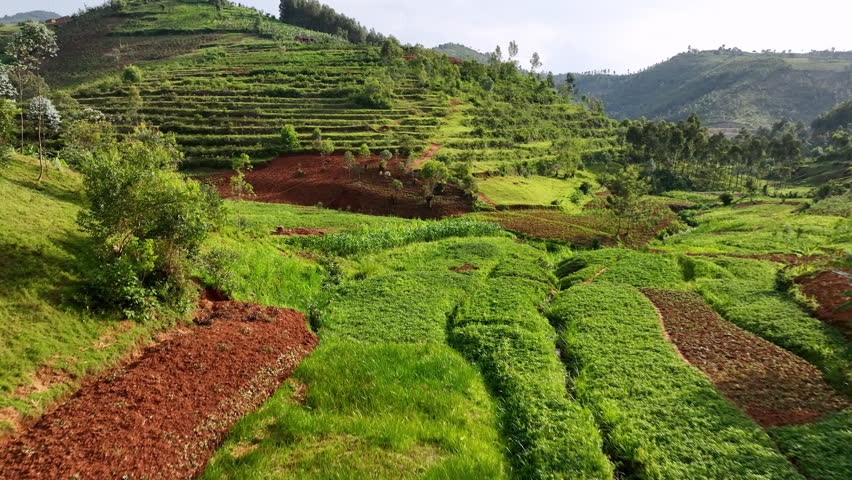 Drone video flying low over valley floor of in Rwanda.