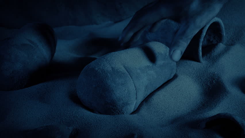 Shutterstock Video