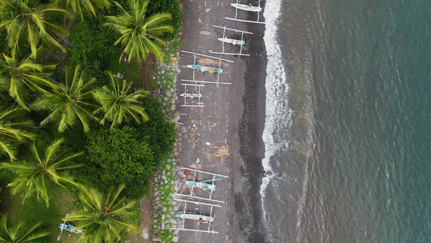 black sand beach palm trees drone view boat bali wild