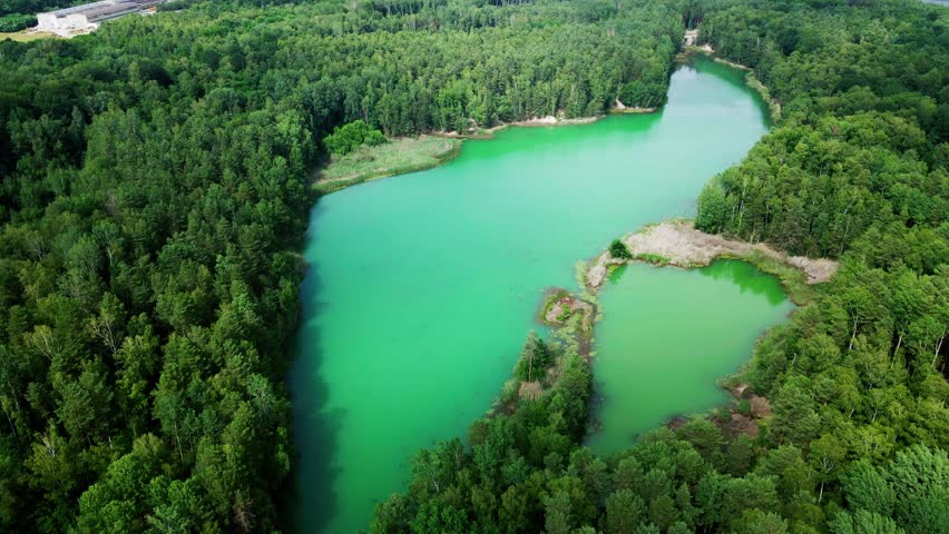 Pine forest in summer with colorful lakes. summer wild scenery. Drone footage