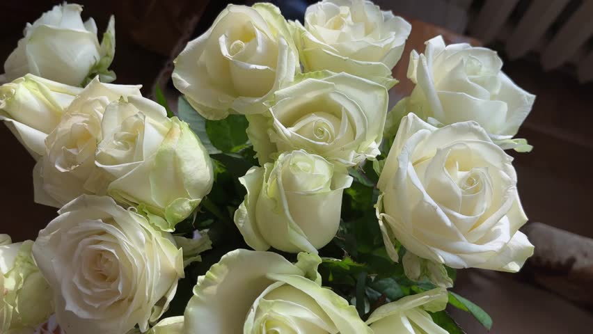 A large bouquet of White roses. Close-up | Shutterstock HD Video #1100337597