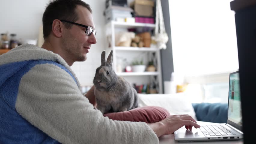 Handsome young man sitting at table with a grey bunny and working in his home office.