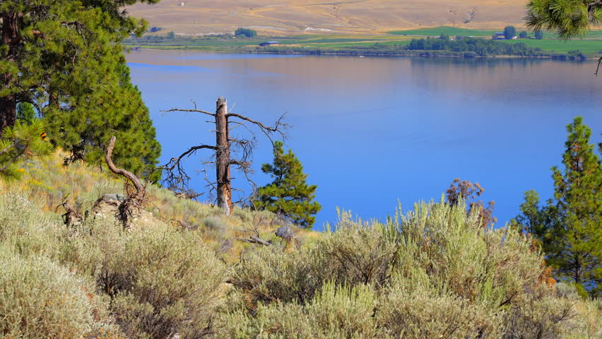 Establishing shot of Mountain lake with blue sky in Vancouver, Canada, North America. Day time on July 2022. Still camera view. ProRes 422 HQ.