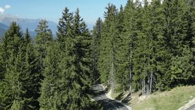 Road crossing beautiful natural landscape of coniferous forest, French Alps. Aerial drone view