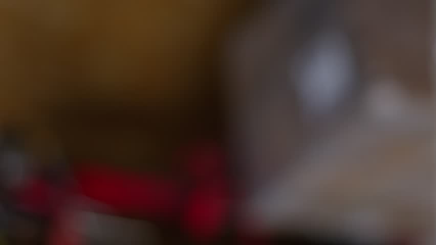 Disassembled, washed engine. Stands with the cylinder block down.