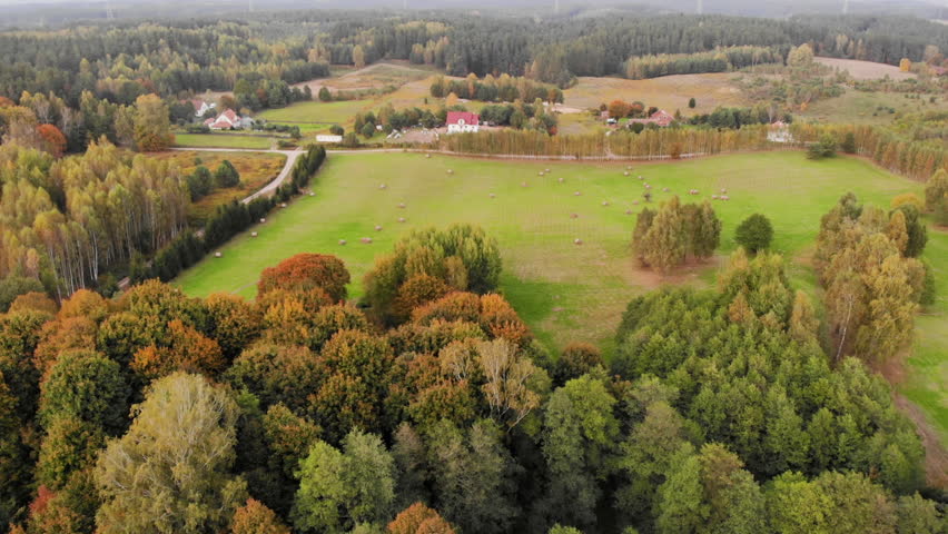 Aerial View Autumn Colorful Trees. Farmhouse, Hills Fields Trees Along Road Aerial View Countryside Landscape. Poland Farm, Rural Scenery Farmland Autumn Forest. Farming Agricultural Seasonal Works.