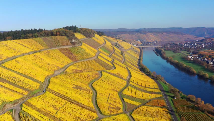Aerial view, Germany, Rhineland-Palatinate, region Bernkastel-Wittlich, 
Kesten, Moselle, vineyards in autumn