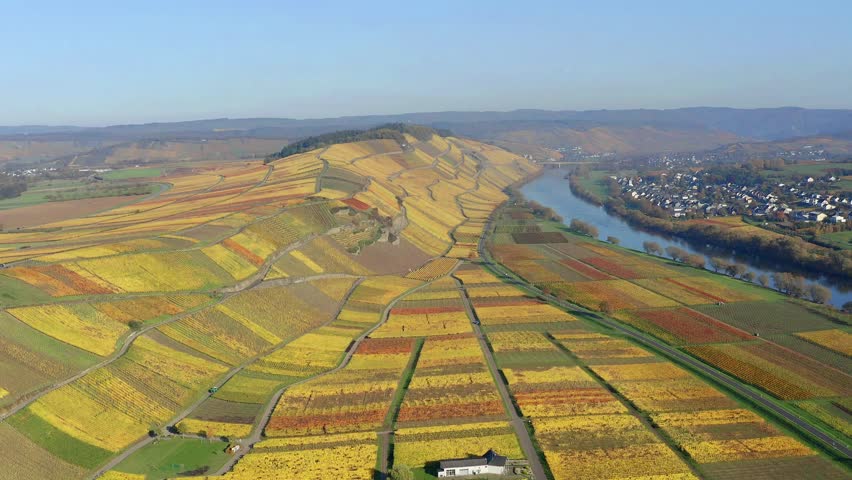 Aerial view, Germany, Rhineland-Palatinate, region Bernkastel-Wittlich, 
Kesten, Moselle, vineyards in autumn