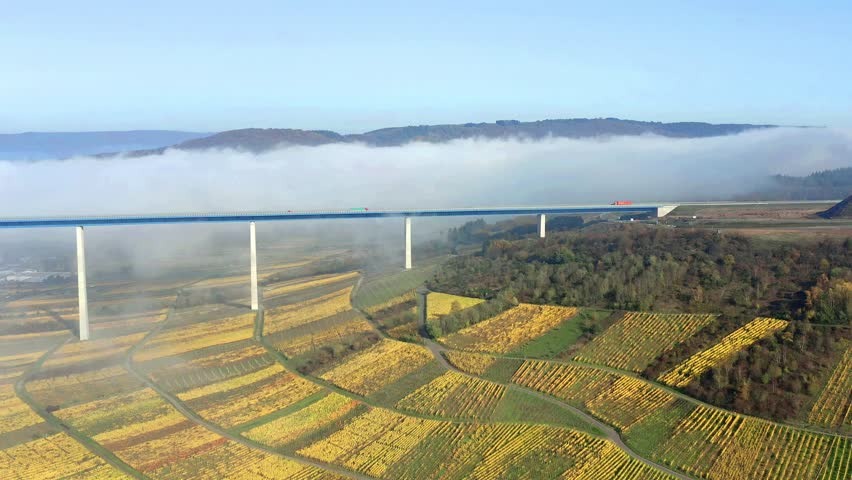 Aerial view, Germany, Rhineland-Palatinate, region Bernkastel-Wittlich, 
Kesten, Moselle, vineyards in autumn
