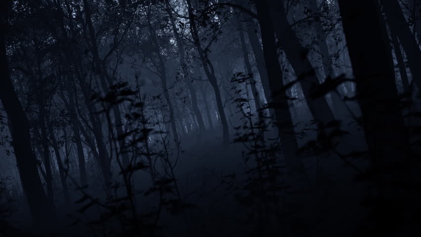 The dark forest at night, covered with a mystical fog Royalty-Free Stock Footage #1100374459