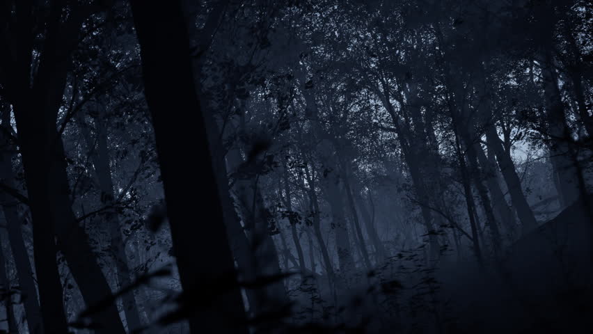 The dark forest at night, covered with a mystical fog Royalty-Free Stock Footage #1100374461