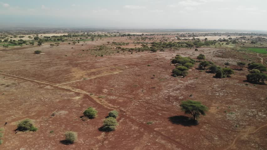 Amboseli National Park, Kenya - Drone video - DJI D-Cinelike color profile