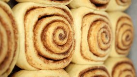 Freshly baked cinnamon rolls or Cinnabon close up, slider shot. Vertical video