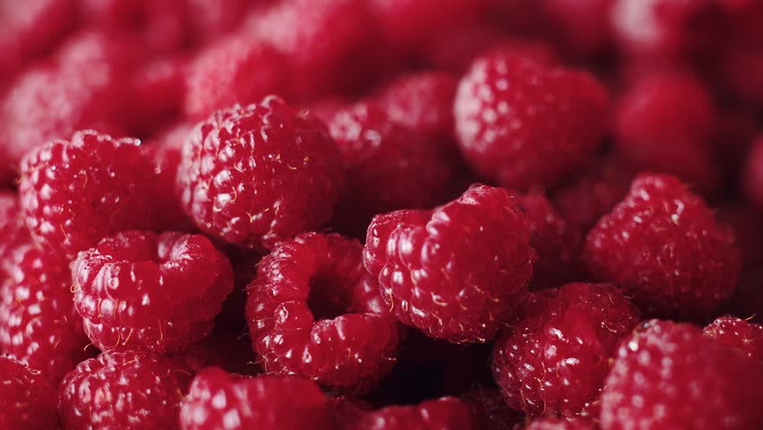 Close-Up Macro of a red raspberries fruit. Fresh, juicy raspberry, background, ripe. Fresh raspberry fruits as food background. Healthy food organic nutrition Royalty-Free Stock Footage #1100377759