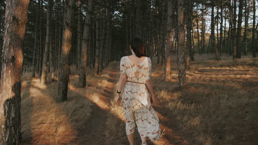 Footage of single woman in dress walking in pine forest during sunset Royalty-Free Stock Footage #1100380575