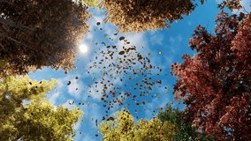 Autumn leaves falling from the sky. Look up at the golden autumn leaves falling. Slow motion.  4K Video.  - Powered by Shutterstock - Get 15% off with code: PIKWIZARD15