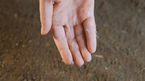 This captivating video features a top-down view of a pair of hands holding a small stream of water, which flows gracefully over the soil and ground below. The hands are partially visible,