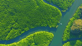 Green mangrove forest in tropical rainforest, limestone mountain and beautiful curvy river. Krabi, Thailand. Travel destination concept. high quality stock video. summer background video. Aerial view
