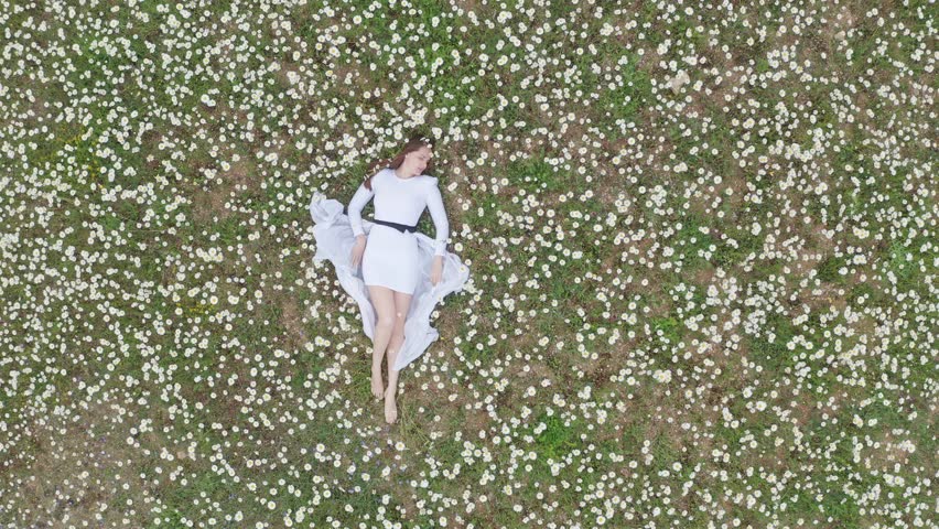 Beautiful young woman lies in camomile daisy flower. View from above. Aerial ant nature scene.