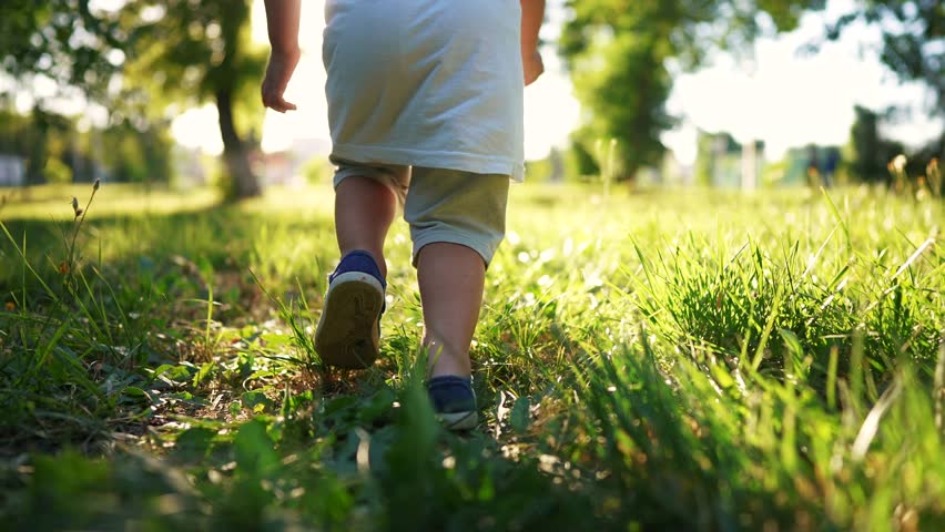 boy run in the forest park. close-up child legs run on the park green grass in the park. happy family childhood dream concept. a child in sneakers run on the grass in lifestyle a park Royalty-Free Stock Footage #1100396123