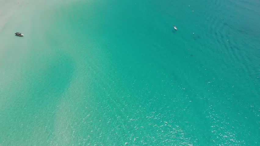 Drone view of blue water beach surrounded by greenery