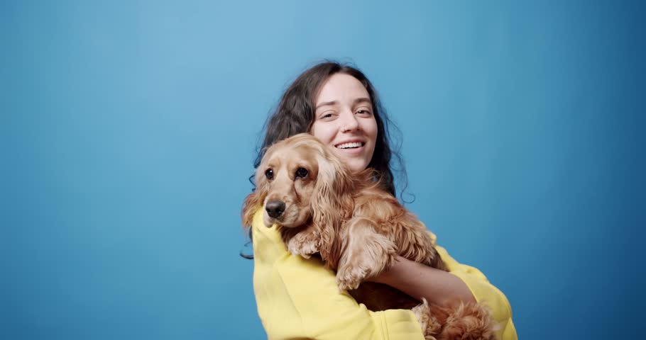 Static shot of cheerful young brunette in stylish clothes embracing English Cocker Spaniel dog and looking at camera with toothy smile then tossing pet slightly against blue background Royalty-Free Stock Footage #1100400801